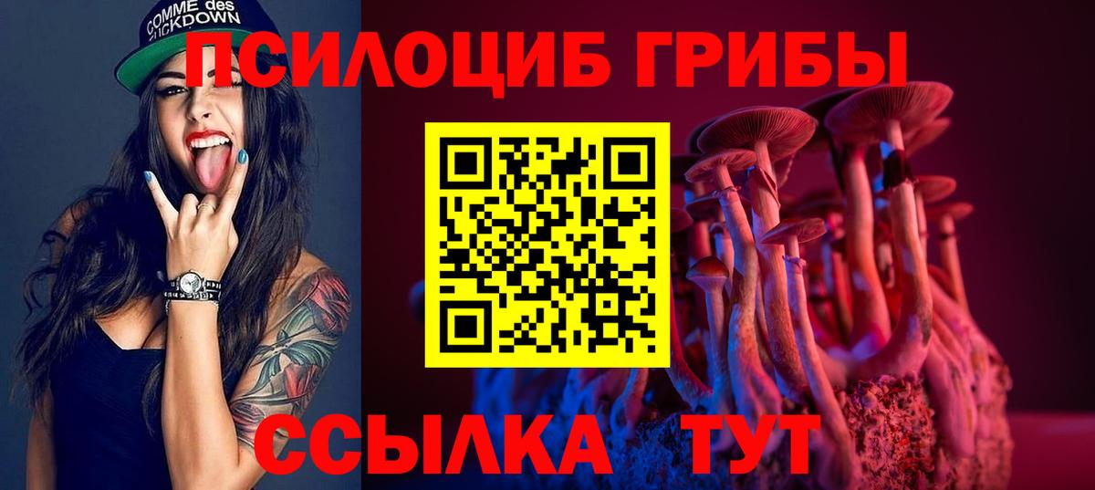Галлюциногенные грибы прущие грибы  Вход с VPN  Менделеевск 
