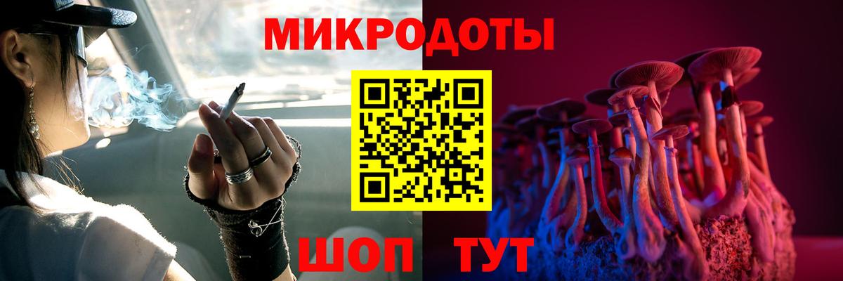 Галлюциногенные грибы Psilocybine cubensis Менделеевск